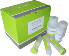 96孔板磁珠PCR产物纯化试剂盒