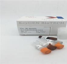 Brdu细胞增殖检测试剂盒（IHC法）