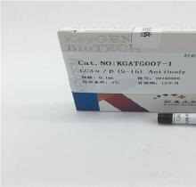 LC3α/βAntibody(S-15)goatpAbforWB