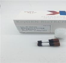 Annexin V-EGFP/PI双染细胞凋亡检测试剂盒